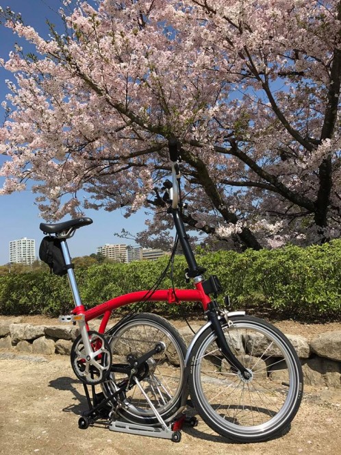 17862651_1754572771434352_4108502136179575979_n