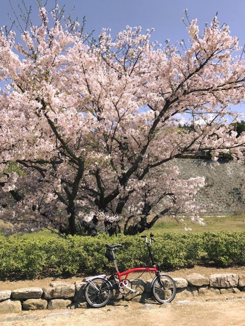 17884611_1754572718101024_8611778621560688162_n