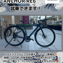 スクリーンショット (100)