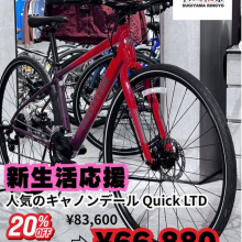 スクリーンショット (101)