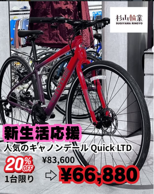 スクリーンショット (101)