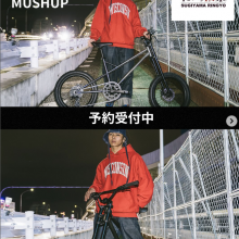 スクリーンショット (66)